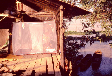 Malaria Mosquito Net Home 360